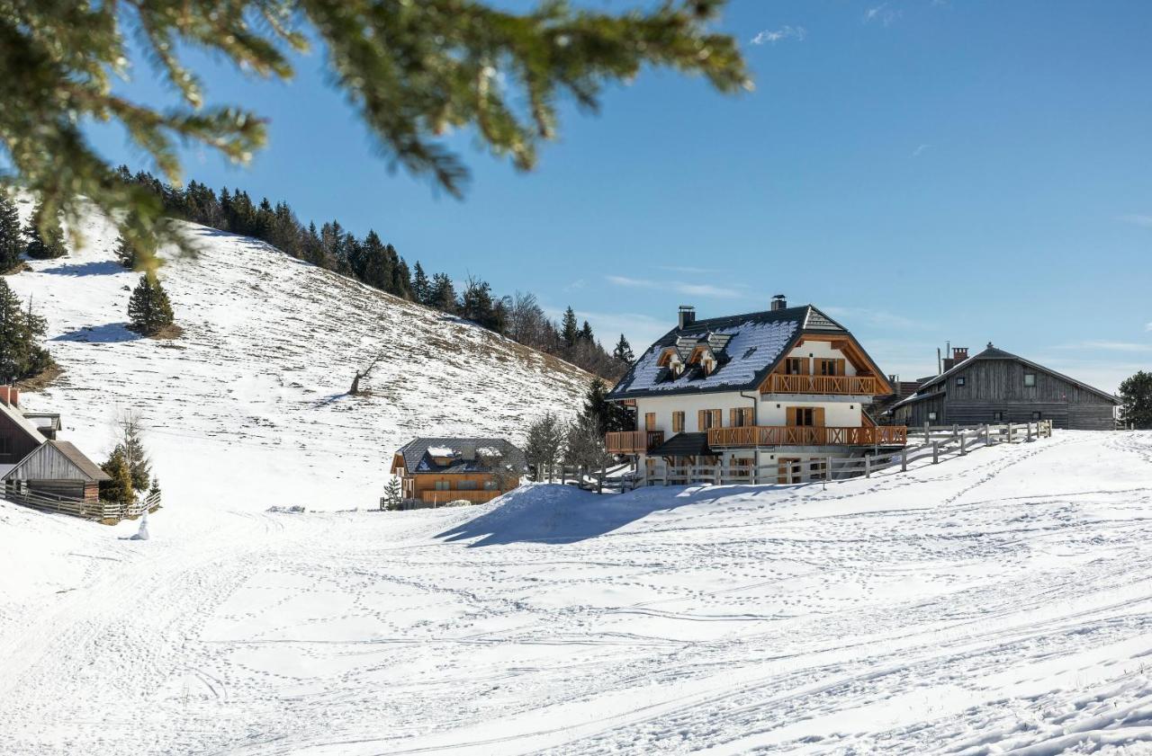 Apartment Jezerca - Krvavec ツェルクニェ・ナ・ゴレニスケム エクステリア 写真