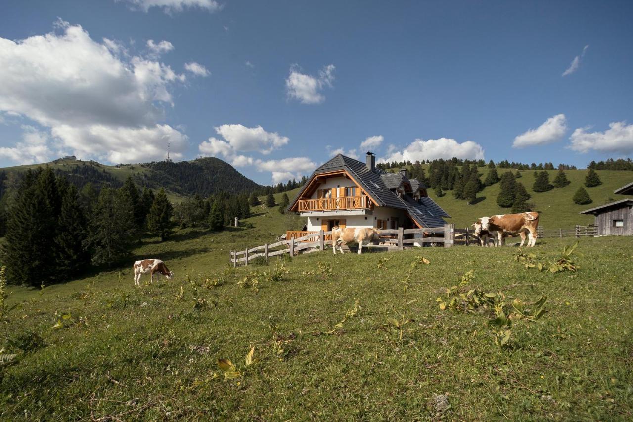 Apartment Jezerca - Krvavec ツェルクニェ・ナ・ゴレニスケム エクステリア 写真